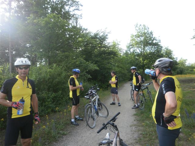 Dossenwald Mannheim