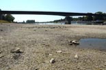 Rhein bei Speyer - Pegel 190 cm
